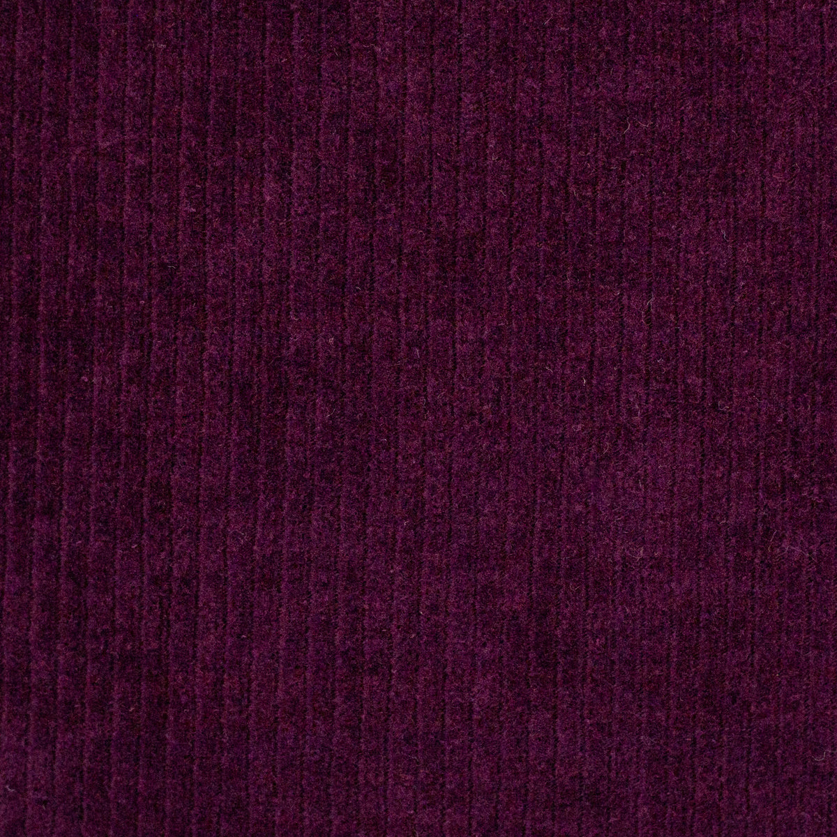 Cordjersey JUNA by Swafing
