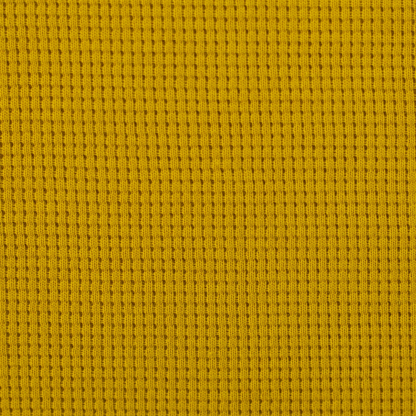 WAFFELJERSEY - CLARISSA VON SWAFING senfgelb