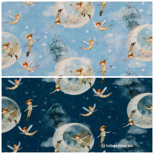 PETER PAN Baumwolljersey in 2 Farben SWAFING