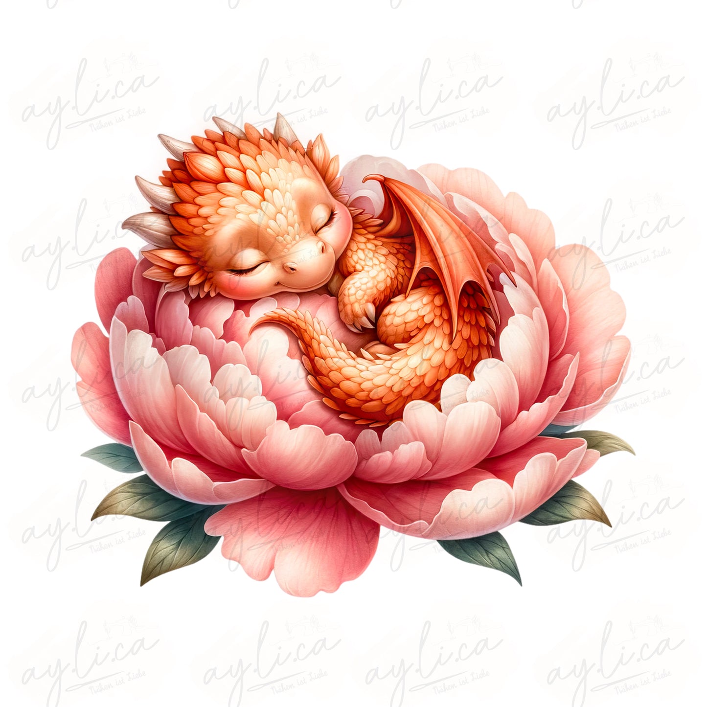 BÜGELBILD ORANGE FLOWER DRAGON