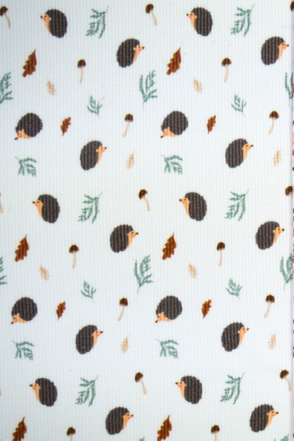 Rippjersey PIA Igel mit Blätter by Swafing